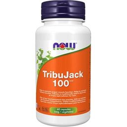 Now TribuJack 100
