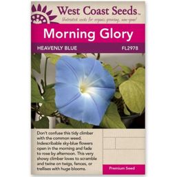 West Coast Seeds Seeds - Heavenly Blue Morning Glory