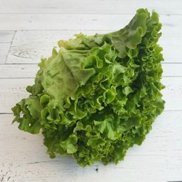 Various Farms - BC/CAL/MX Green Leaf Lettuce