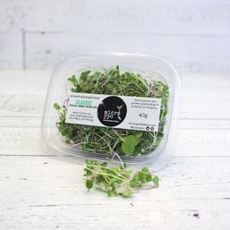 YYC Microgreens - AB Sprouts - Classic Mix - Microgreens
