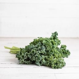 Various Farms - BC/CAL/MX Green Kale