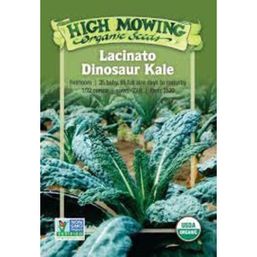 High Mowing Organic Seeds Seeds - Lacinato Dinosaur Kale