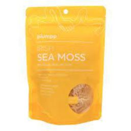 Plumpp Gold Irish Sea Moss