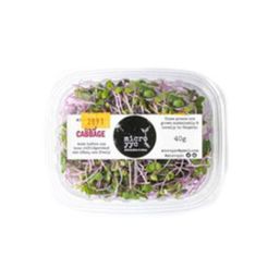 YYC Microgreens - AB Sprouts - Red Cabbage - Microgreens