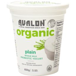 Avalon Probiotic Yogurt - Plain