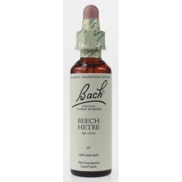 Bach Beech