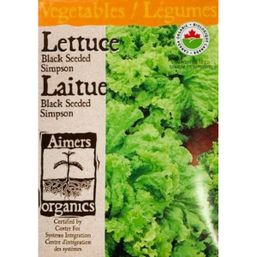 Aimers Organics Black Seeded Simpson Lettuce