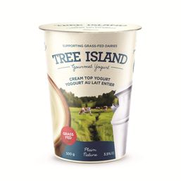 Tree Island Yogurt Cream Top Yogurt - Plain