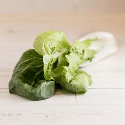 Various Farms - CAL/MX Bok Choy Org