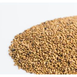 Mumm's Sprouting Seeds Alfalfa