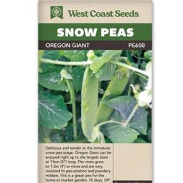 West Coast Seeds Seeds - Oregon Giant Snow Peas