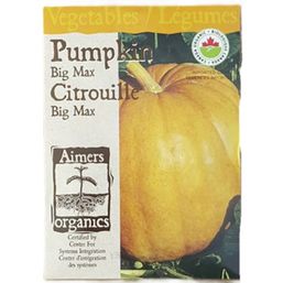 Aimers Organics Big Max Pumpkin