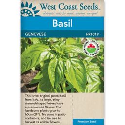 West Coast Seeds Seeds - Basil, Genovese