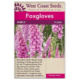 West Coast Seeds Seeds - Foxgloves Purple