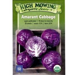 High Mowing Organic Seeds Amarant Cabbage - 25 seeds