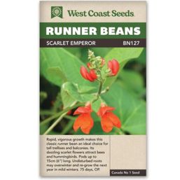 West Coast Seeds Seeds - Scarlet Emperor
