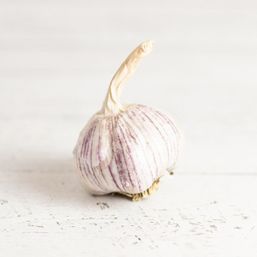 Mans Organics - AB Garlic - Organic