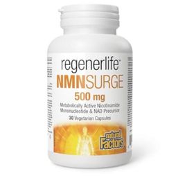 Natural Factors Regenerlife NMNSurge 500mg