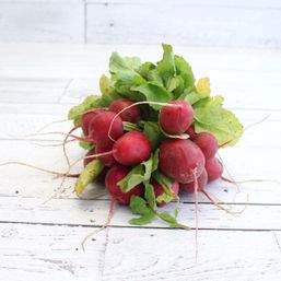 Various Farms - BC Red/Purple Radish Bunch