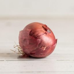 Various Farms - AB/CAL Onions Red Org
