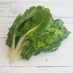 Various Farms - BC/CAL/MX Green Chard