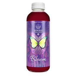 GT's Bloom Kombucha - Spring Edition Elderflower, Jasmine, Violet