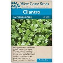 West Coast Seeds Seeds - Santo Monogerm Cilantro