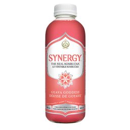 GT's Synergy Kombucha Drink - Guava Goddess