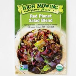 High Mowing Organic Seeds Red Planet Salad Blend