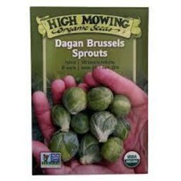 High Mowing Organic Seeds Seeds - Dagan Brussels Sprouts