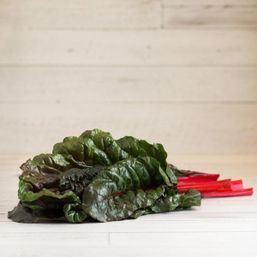 Various Farms - BC/CAL/MX Red/Pink Chard