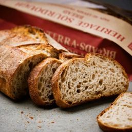 Terra Breads Heritage Sourdough Bread