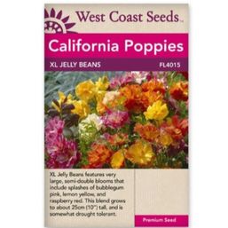 West Coast Seeds Seeds - XL Jelly Beans California Poppies