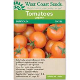 West Coast Seeds Seeds - Sungold Cherry F1 Tomato