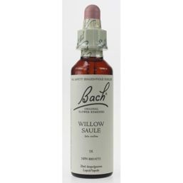 Bach Willow