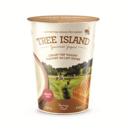 Tree Island Yogurt Cream Top Yogurt - Honey