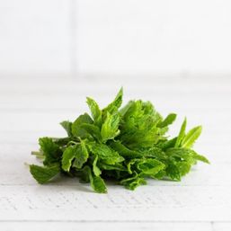 Various Farms - AB/CAL/MX Fresh Herbs - Mint