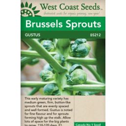 West Coast Seeds Seeds - Brussels Sprouts, Gustus