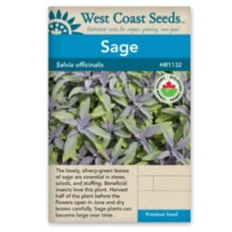 West Coast Seeds Seeds - Sage Certified Organic