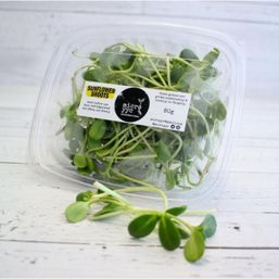 YYC Microgreens - AB Sprouts - Sunflower Shoots - Microgreens -