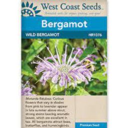 West Coast Seeds Seeds - Wild Bergamot