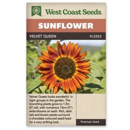 West Coast Seeds Seeds - Sunflower, Velvet Queen