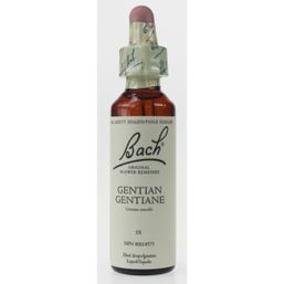 Bach Gentian