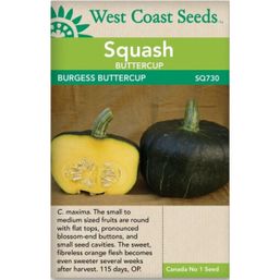 West Coast Seeds Seeds - Burgess Buttercup Squash
