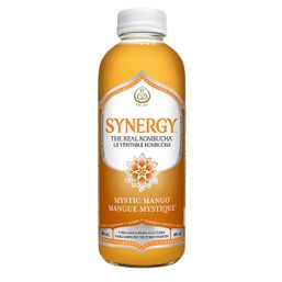 GT's Synergy Kombucha Drink - Mystic Mango