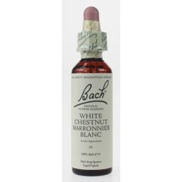Bach White Chestnut