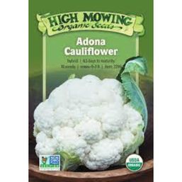 High Mowing Organic Seeds Adona F1 Cauliflower