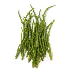 West Coast Wild - BC Asparagus Sea Org