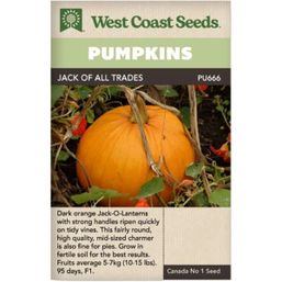 West Coast Seeds Seeds - Jack of All Trades Pumpkin