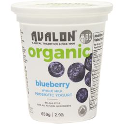 Avalon Probiotic Yogurt - Blueberry